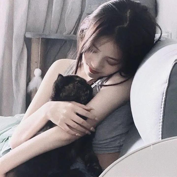 鲨海47:猛鲨出笼