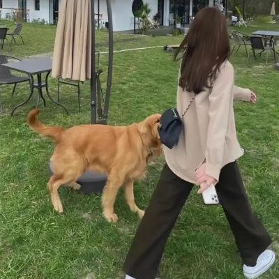 生命密码